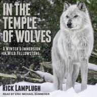 In the Temple of Wolves: A Winter's Immersion in Wild Yellowstone