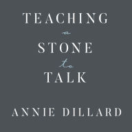 Teaching a Stone to Talk: Expeditions and Encounters