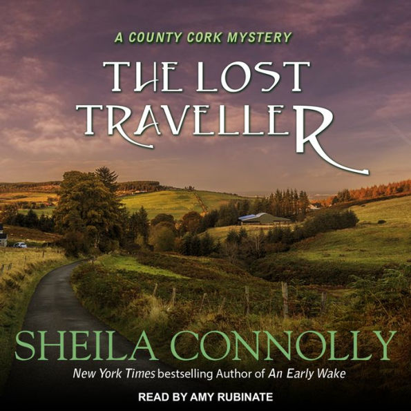 The Lost Traveller (County Cork Mystery Series #7)