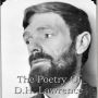The Poetry of D.H. Lawrence: Poems from the early 20th century author of countless classics