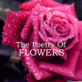 The Poetry of Flowers