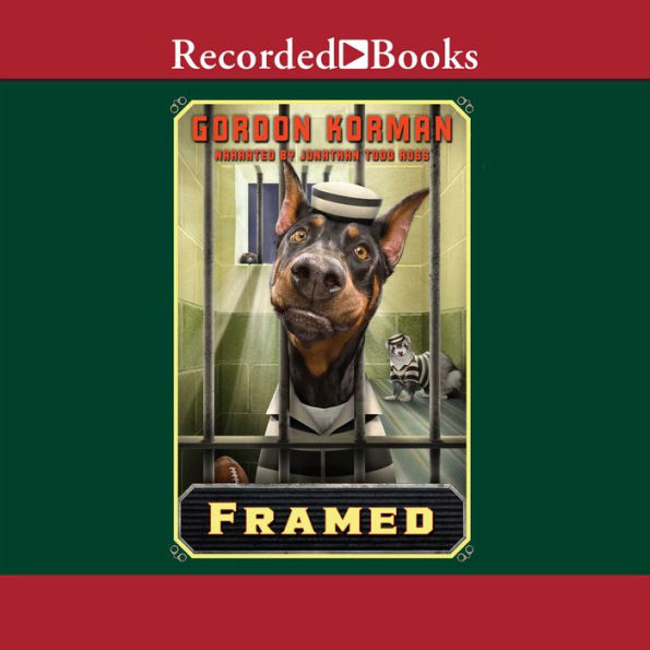 Framed (Swindle Series #3)