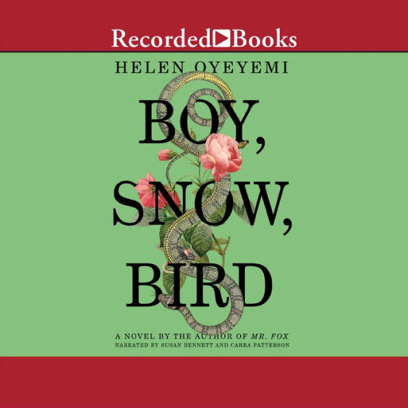 Boy, Snow, Bird