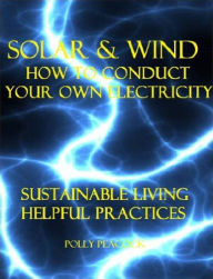 Solar and Wind; How to Make Your Own Electricity