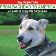 From Baghdad to America: Life Lessons from a Dog Named Lava