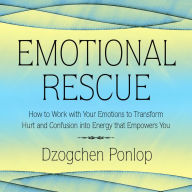 Emotional Rescue: How to Work with Your Emotions to Transform Hurt and Confusion into Energy that Empowers You