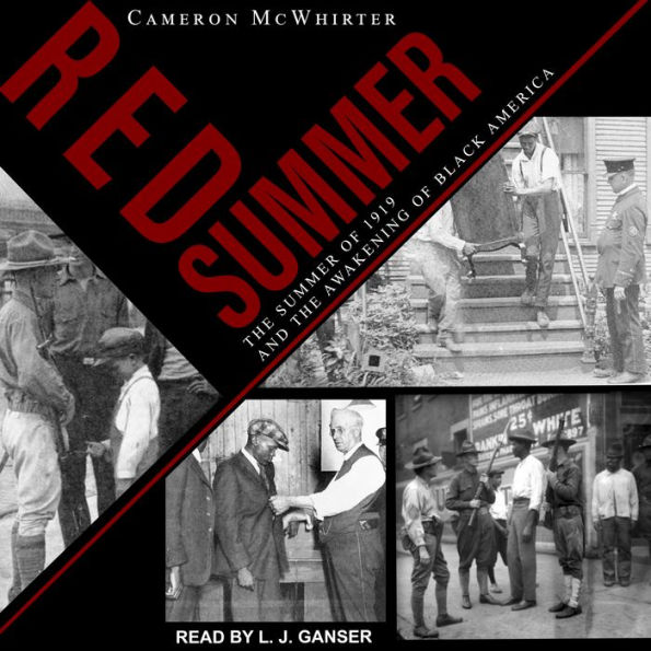 Red Summer: The Summer of 1919 and the Awakening of Black America