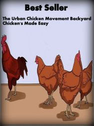 Urban Chicken Movement: Back Yard Chicken Made Easy