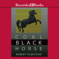 Coal Black Horse