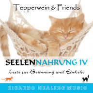 Seelennahrung 4: Texte zur Besinnung und Einkehr (Tepperwein and Friends)