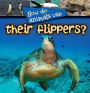 How Do Animals Use Their Flippers?