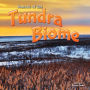 Seasons Of The Tundra Biome