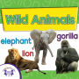 Wild Animals