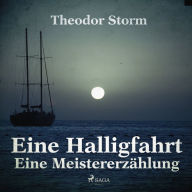 Eine Halligfahrt - Eine MeistererzÃ¤hlung (UngekÃ¼rzt)