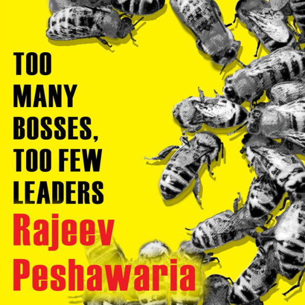 Too Many Bosses, Too Few Leaders: The Three Essential Principles You Need to Become an Extraordinary Leader