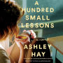 A Hundred Small Lessons: A Novel