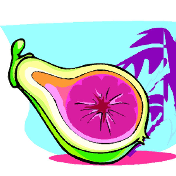 The Man and the Figs