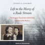 Left to the Mercy of a Rude Stream: The Bargain That Broke Adolf Hitler and Saved My Mother