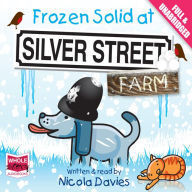 Frozen Solid at Silver Street Farm