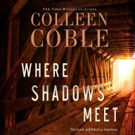 Where Shadows Meet: A Romantic Suspense Novel