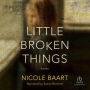 Little Broken Things