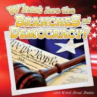 What Are the Branches of Democracy?