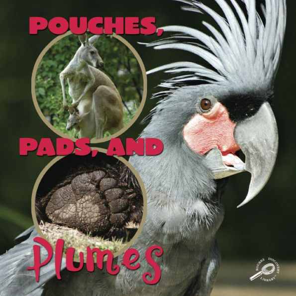 Pouches, Pads, and Plumes