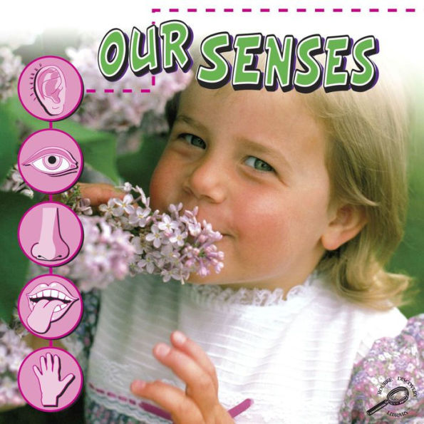 Our Senses