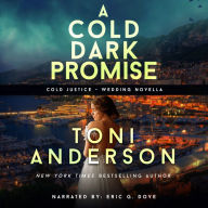 A Cold Dark Promise: FBI Romantic Suspense