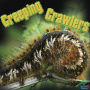 Creeping Crawlers