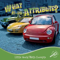 What Is an Attribute?