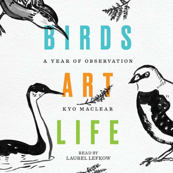 Birds Art Life: A Year of Observation