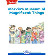 Marvin's Museum of Magnificent Things