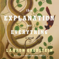 The Explanation for Everything: a novel