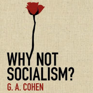 Why Not Socialism?