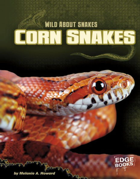 Corn Snakes