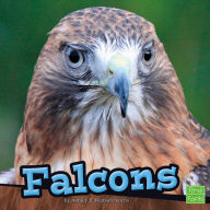 Falcons