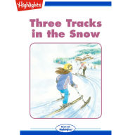 Three Tracks in the Snow