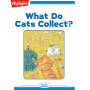 What Do Cats Collect?