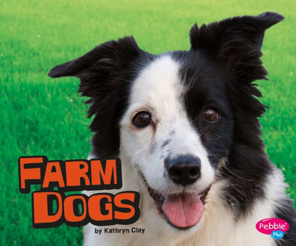 Farm Dogs