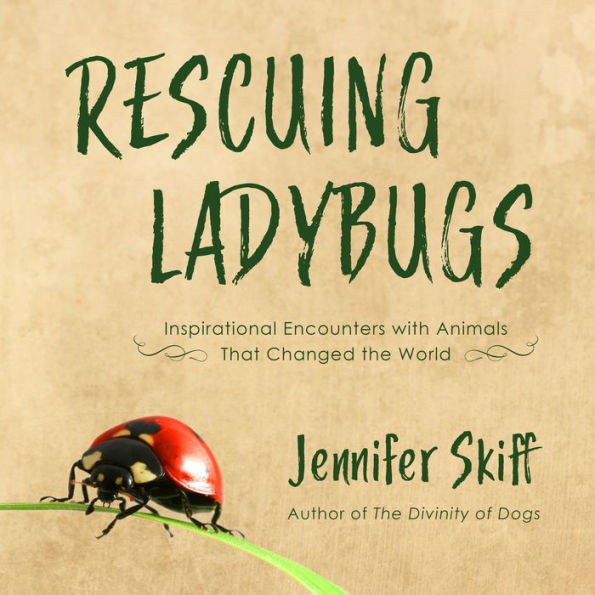 Rescuing Ladybugs: Inspirational Encounters with Animals That Changed the World