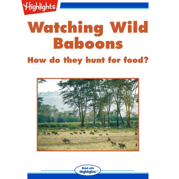 Watching Wild Baboons : How do they hunt for food?