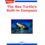 The Sea Turtle's Built-In Compass