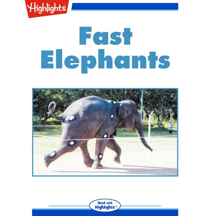 Fast Elephants
