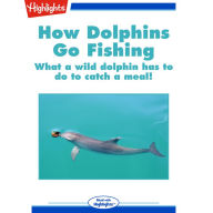 How Dolphins Go Fishing: What a wild dolphin has to do to catch a meal!