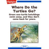 Where Do the Turtles Go?