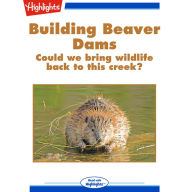 Building Beaver Dams: Could We Bring Wildlife Back to This Creek?