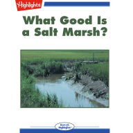 What Good Is a Salt Marsh?