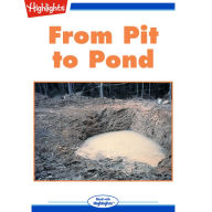 From Pit to Pond