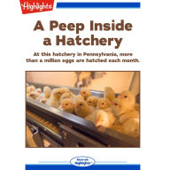 A Peep Inside a Hatchery